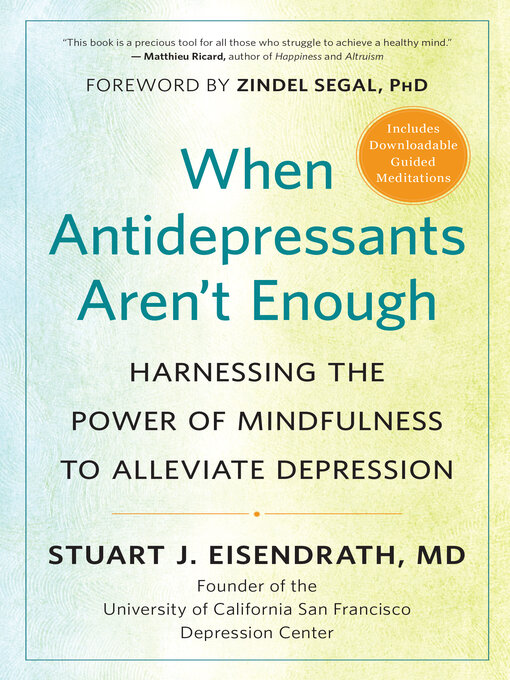 Title details for When Antidepressants Aren't Enough by Stuart J. Eisendrath - Available